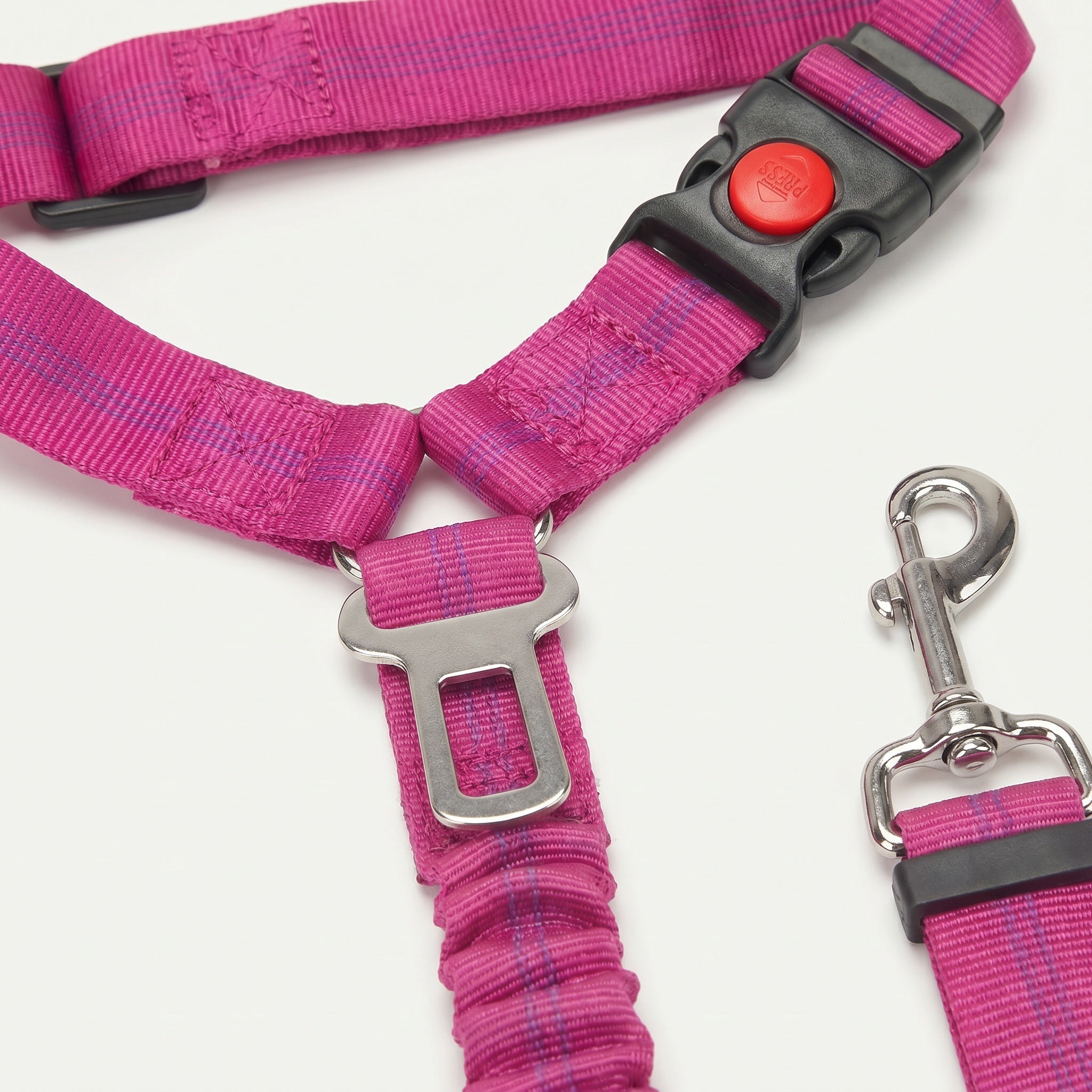 Harnais de sécurité pour chien