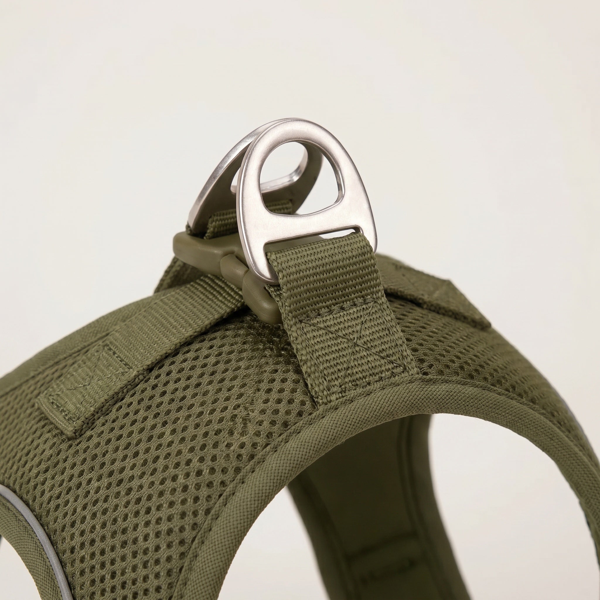 Harnais et Laisse minimalistes pour Chien