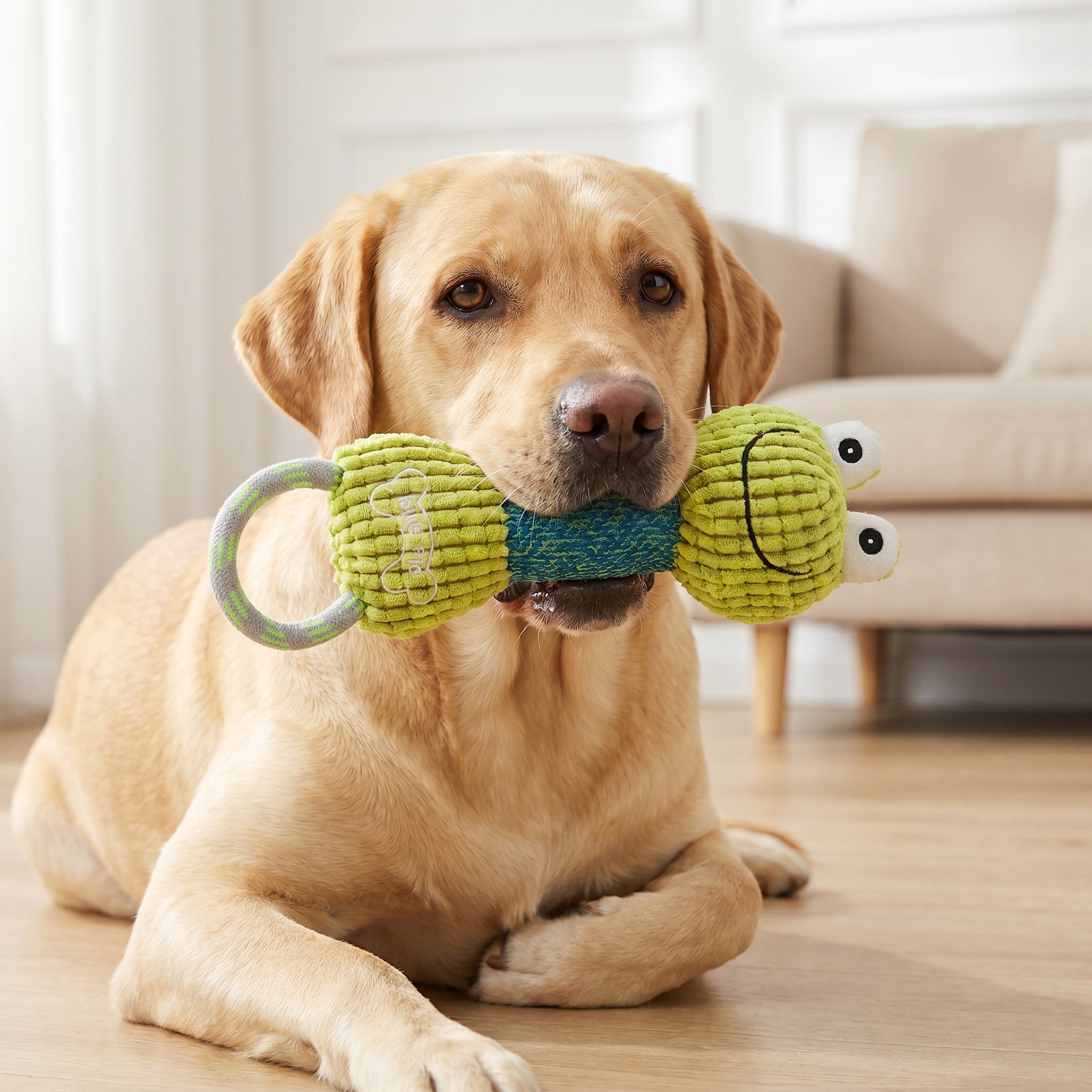 Jouet pour chien en peluche avec anneau
