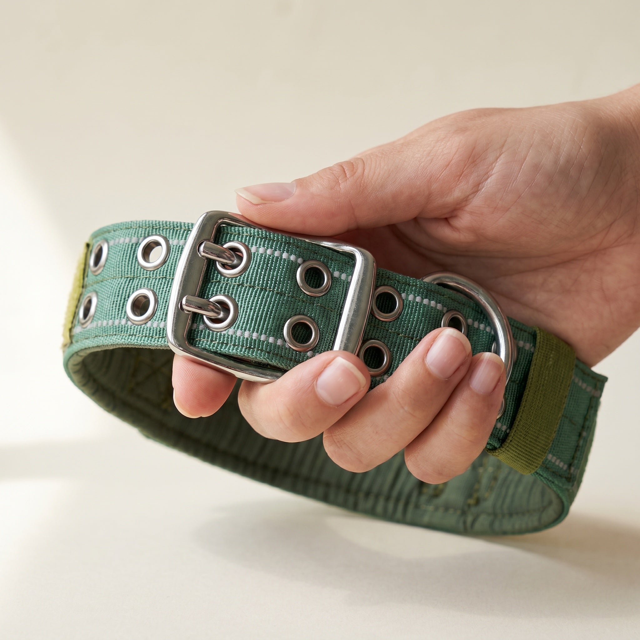 Collier renforcé pour chien avec boucle métallique