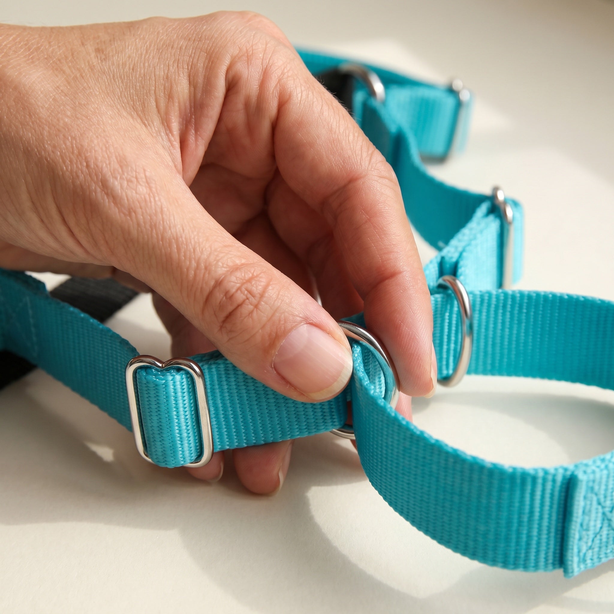 Harnais Réglable pour Chien
