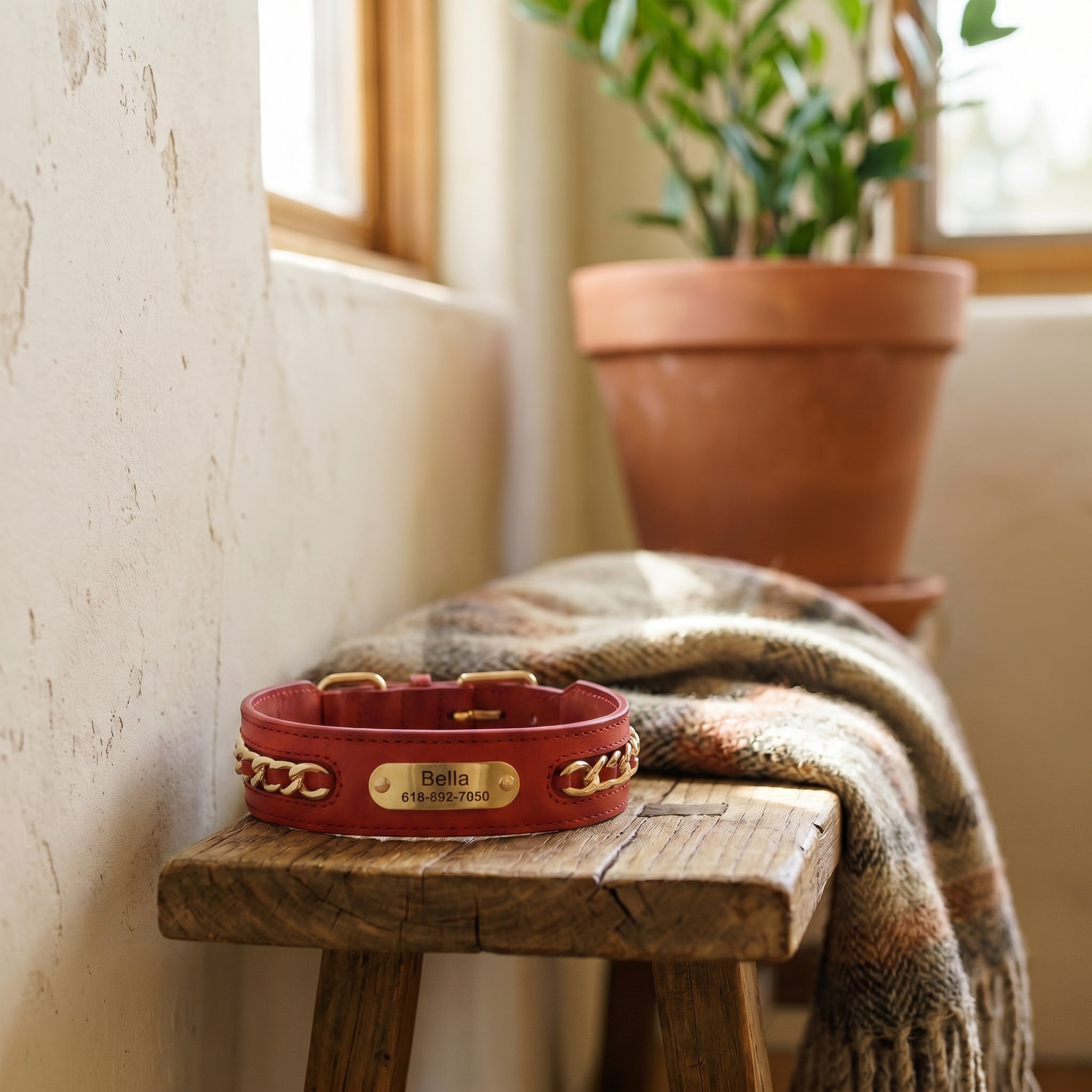 Collier élégant personnalisable en cuir pour chien