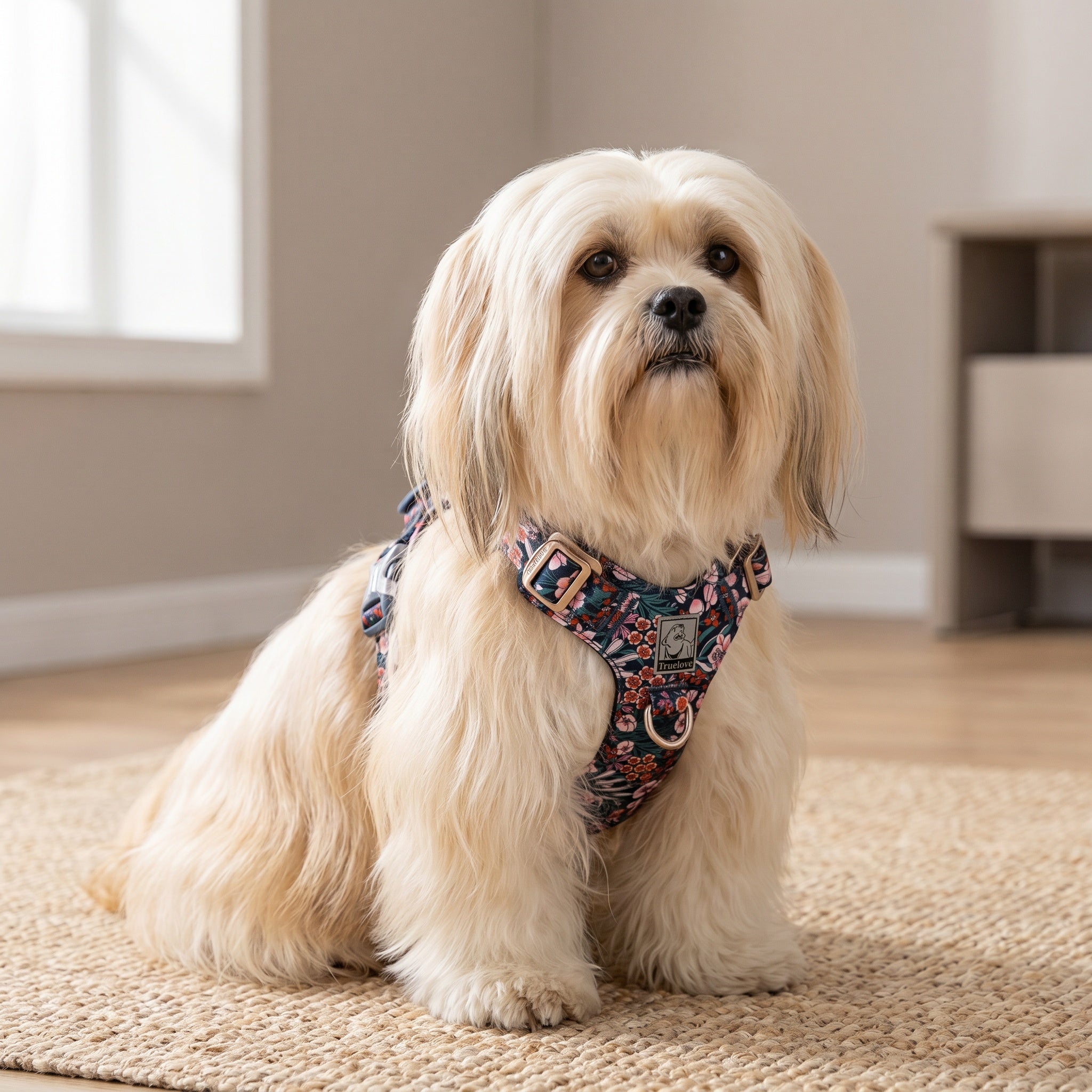 Harnais pour Chien à Motifs Floraux