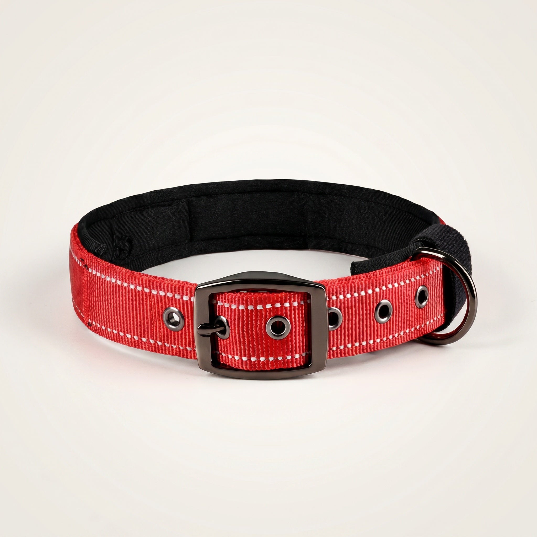 Collier rembourré pour chien