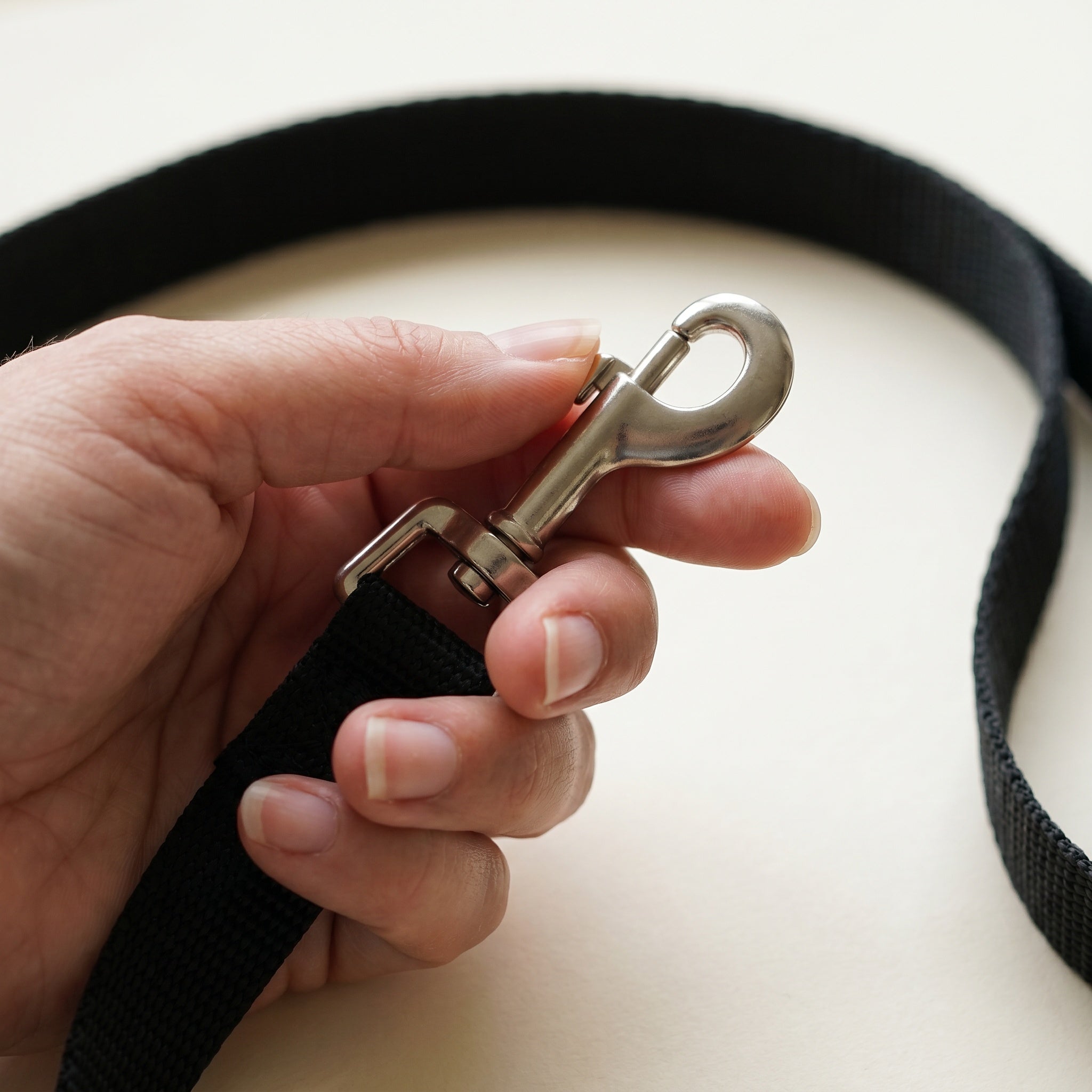 Laisse pour chien en nylon noir