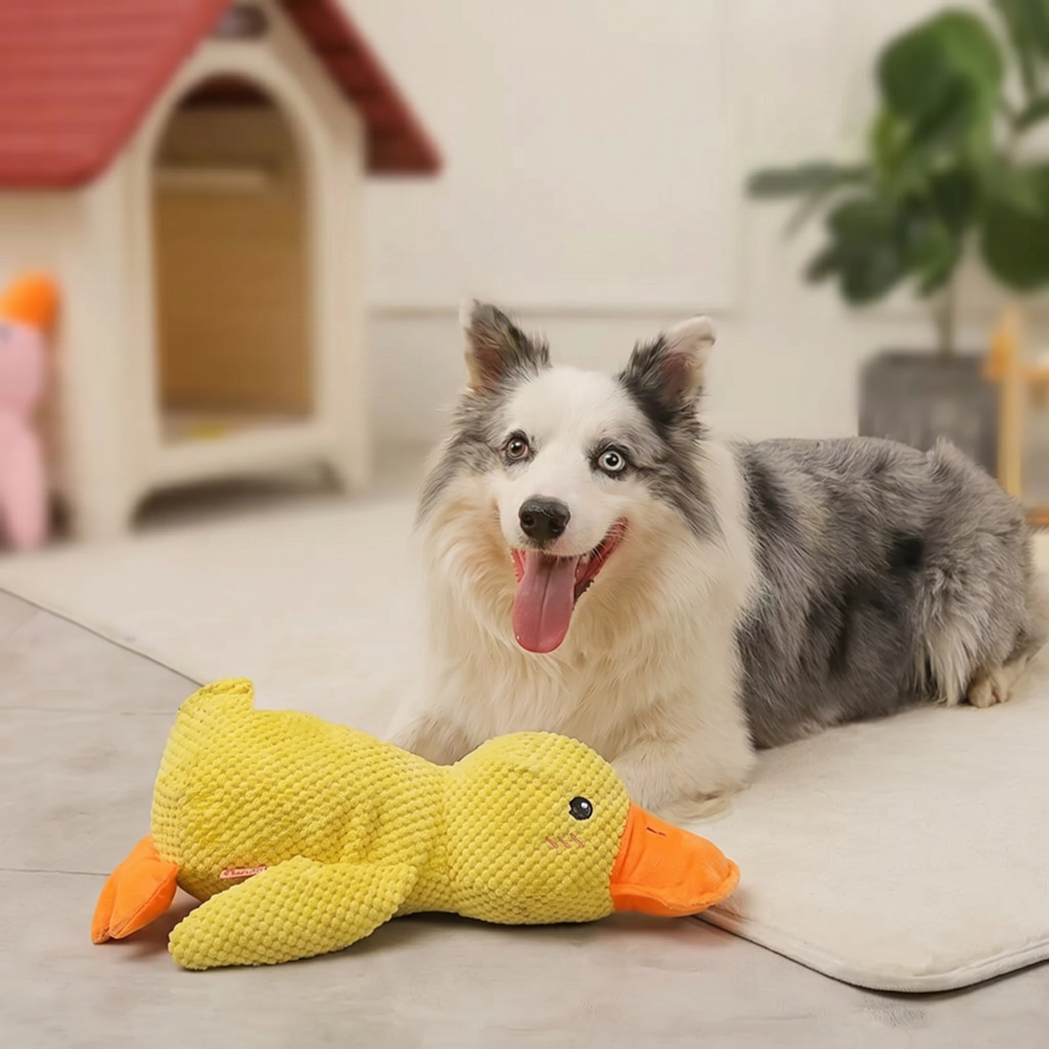 Jouet canard pour chien en peluche