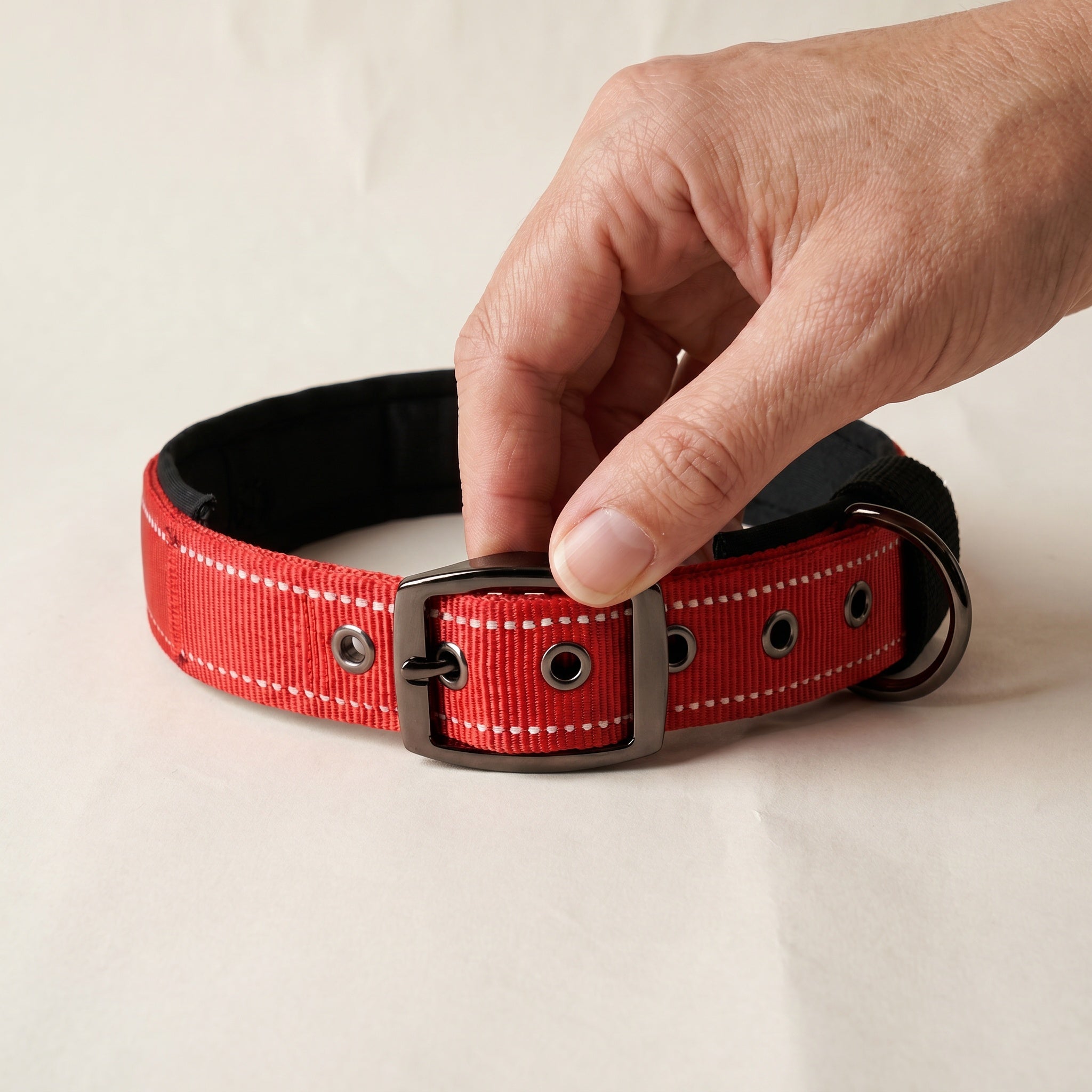 Collier rembourré pour chien