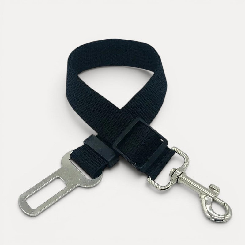 Ceinture de sécurité pour chien