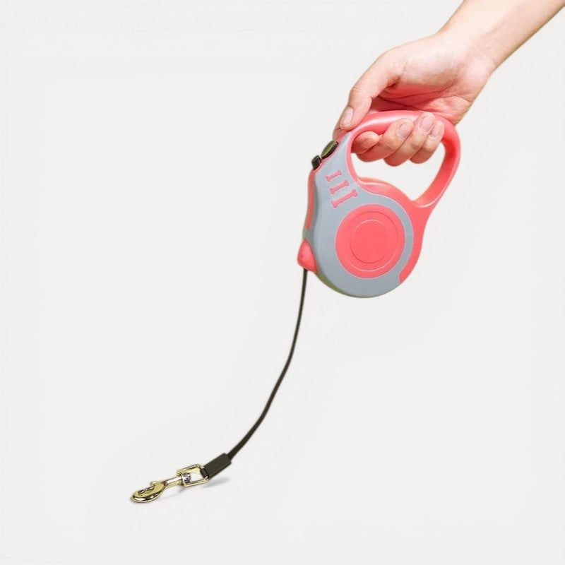 Laisse rétractable pour chien