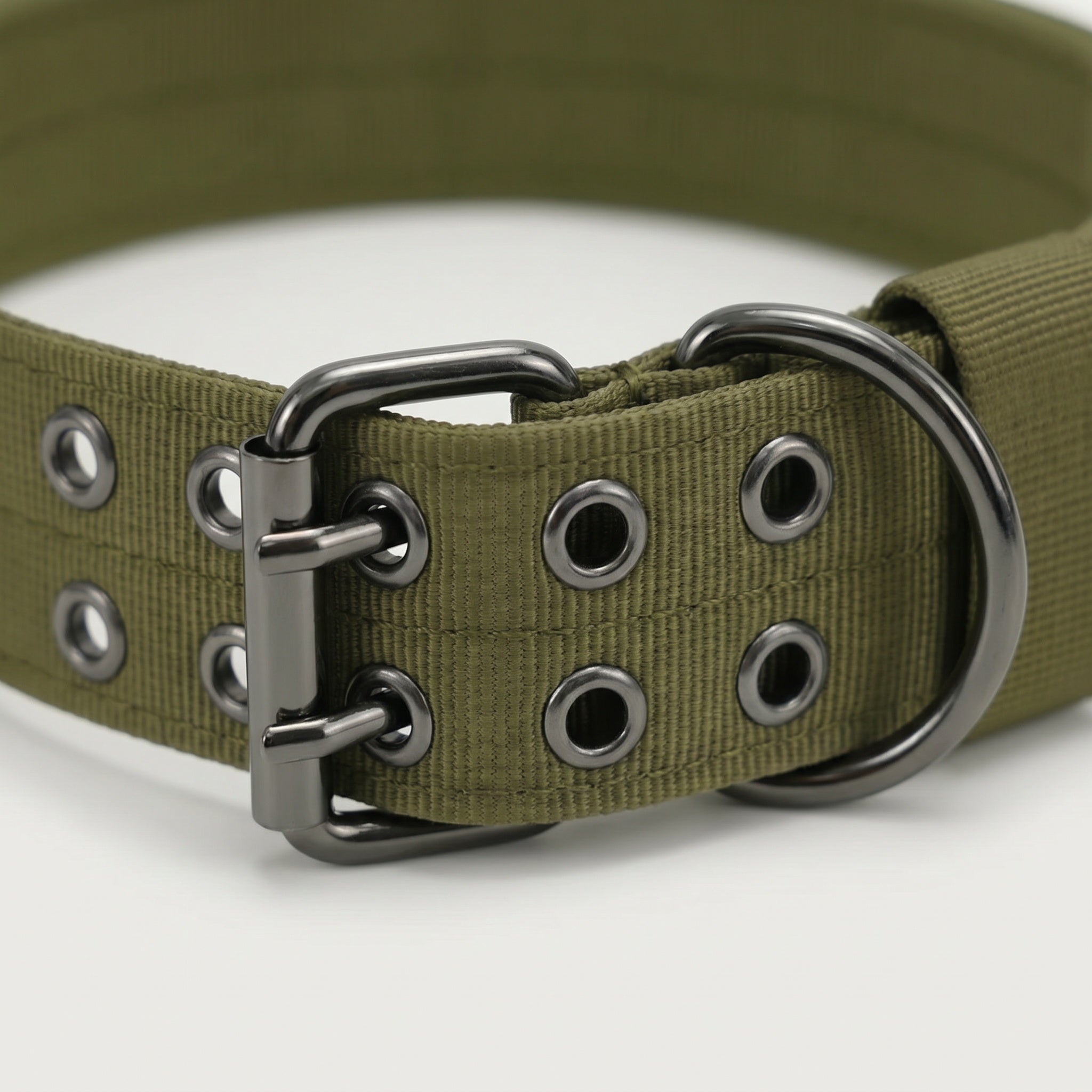 Collier tactique pour chien